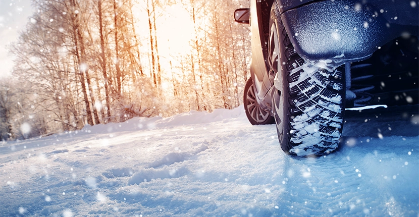 Vehicle driving in a snowy wooded area