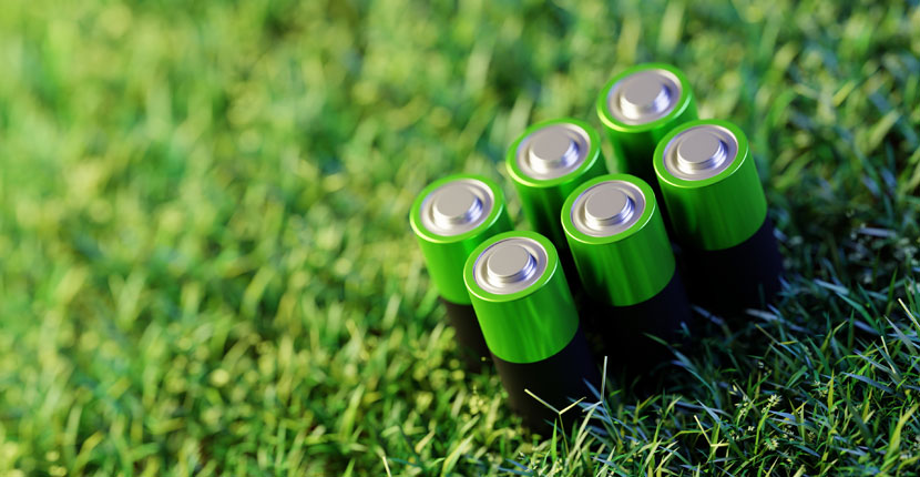 alkaline batteries sitting on grass
