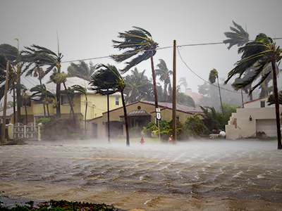 Hurricane blowing palm trees in front of 3 houses