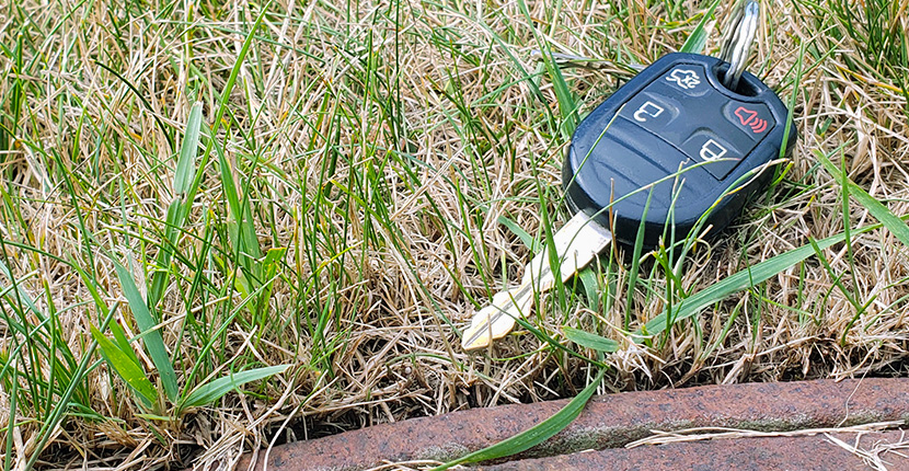 Auto key laying in the grass