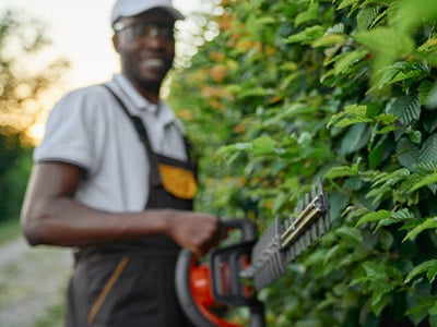 Man trimming hedges with a hedge trimmer