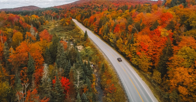 Vehicle driving down a road with fall colored trees on either side