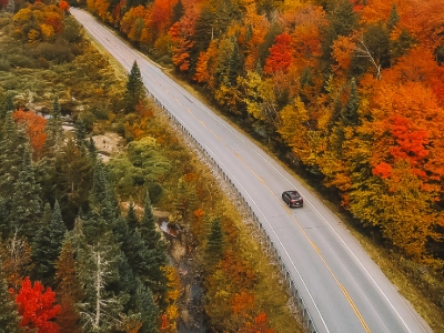 Vehicle driving down a road with fall colored trees on either side