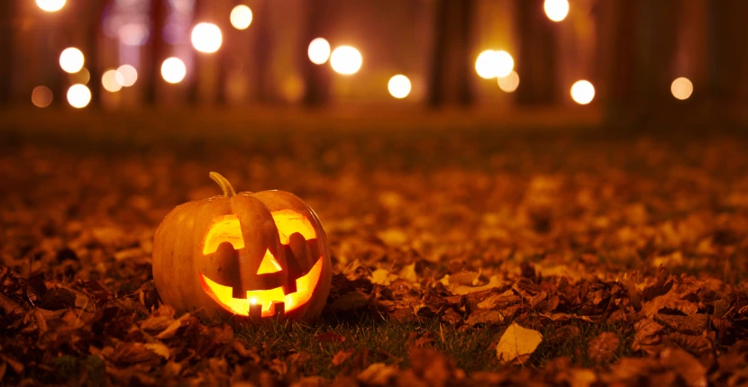 Lit up Jack-o-lantern in a yard