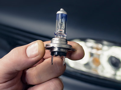 holding a replacement headlight bulb